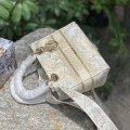 「#22548」Dior Bags  (24x20x11cm