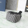 「#22808」Dior Bags(19x27.5x11.5cm
