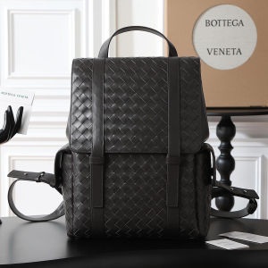 Pietro  Pinelli vip link